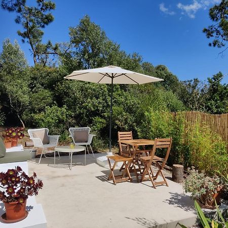Quinta Do Alento Bed & Breakfast Sesimbra Exterior photo